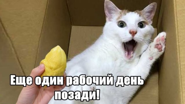 Трынделка - 05.05.2025