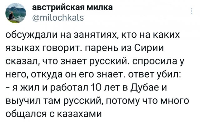 Подборка забавных твитов обо всем
