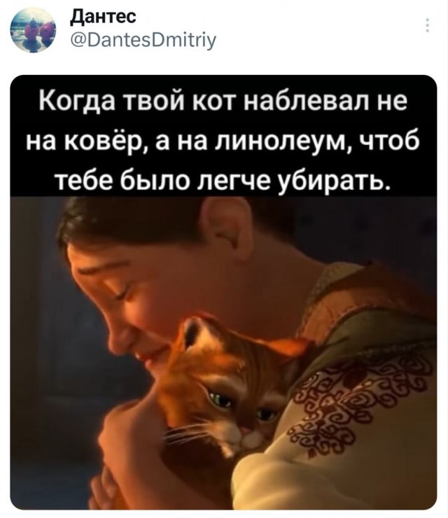 Подборка забавных твитов обо всем