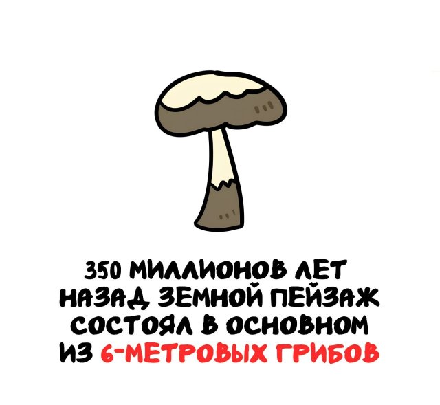 Интересные факты на все случаи жизни