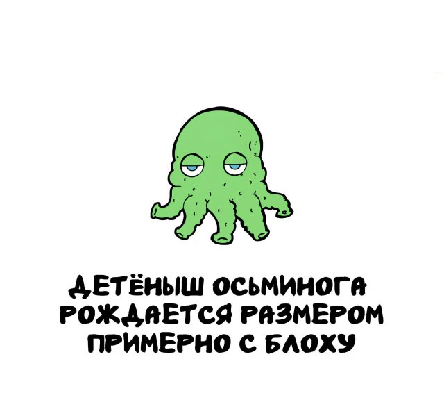 Интересные факты на все случаи жизни