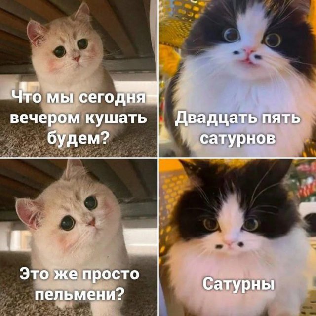 Смешные мемы - 06.05.2025