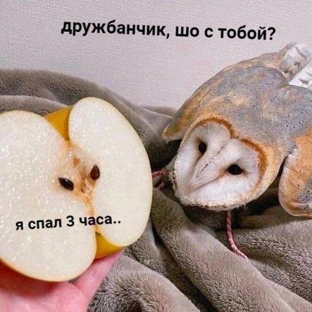 Смешные мемы - 06.05.2025