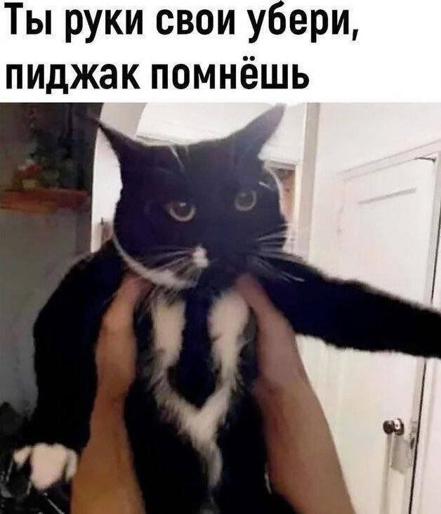 Смешные мемы - 06.05.2025