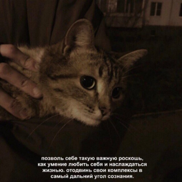 Смешные мемы - 06.05.2025