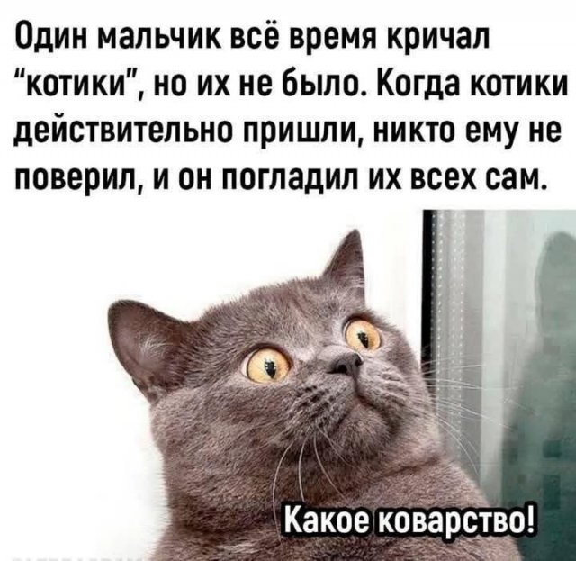 Смешные мемы - 06.05.2025