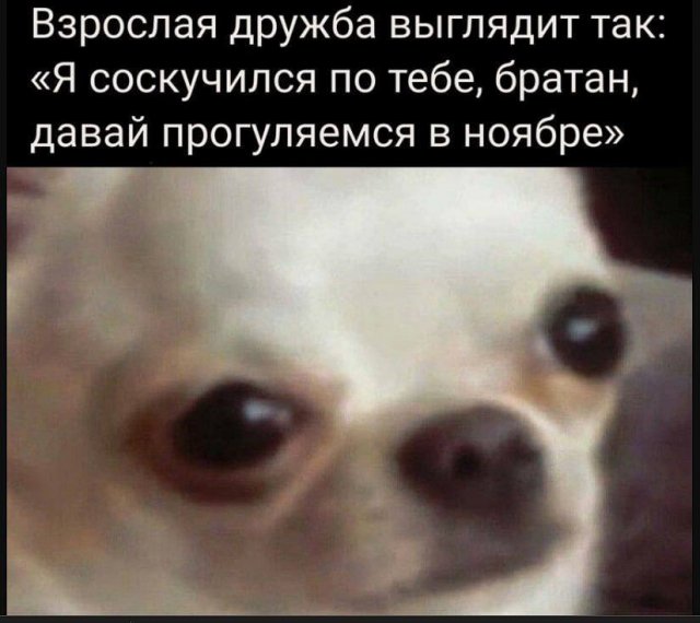 Смешные картинки - 06.05.2025