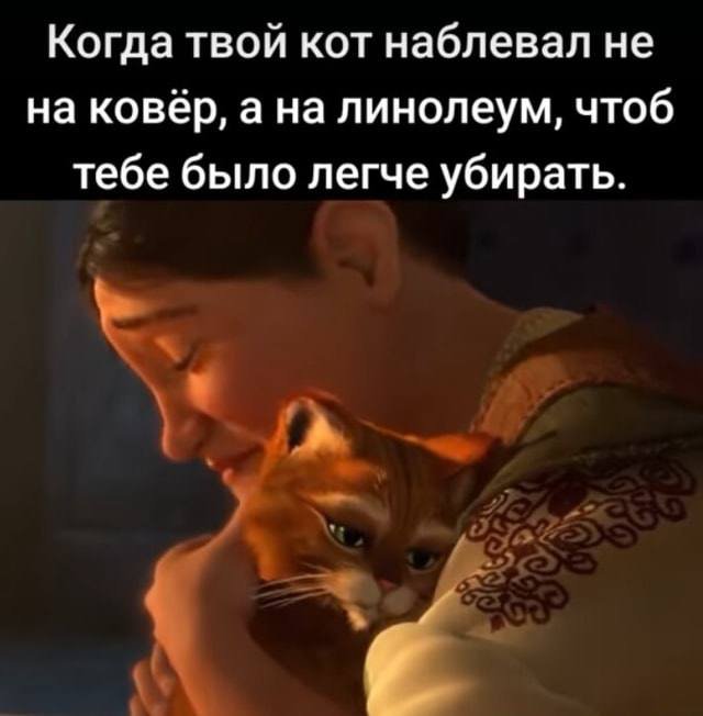 Смешные картинки - 06.05.2025
