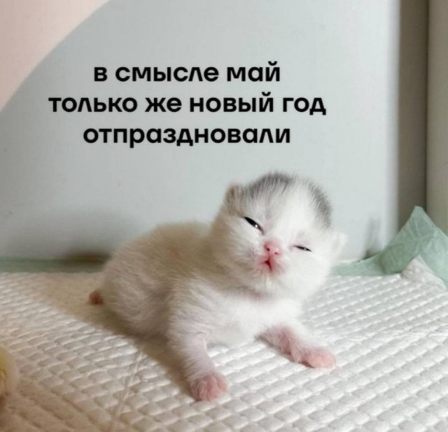 Смешные картинки - 06.05.2025
