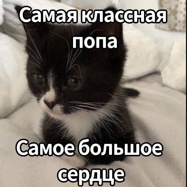 Смешные картинки - 06.05.2025