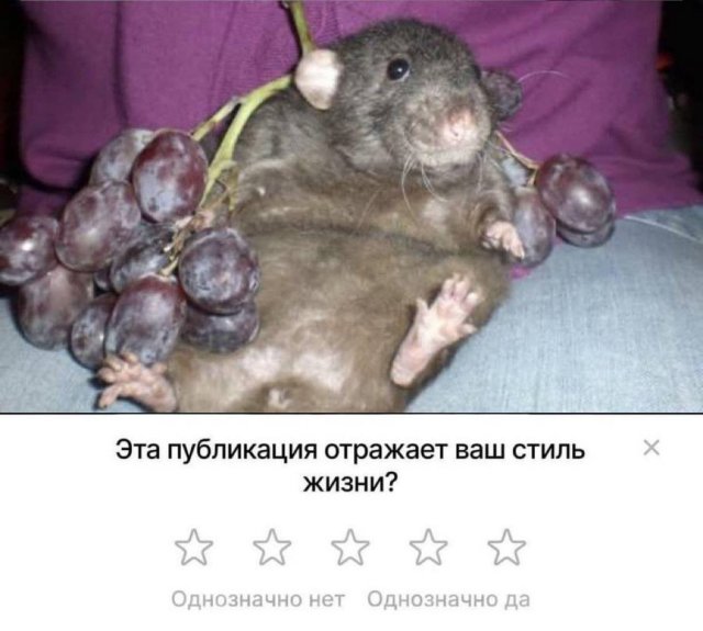 Смешные картинки - 06.05.2025