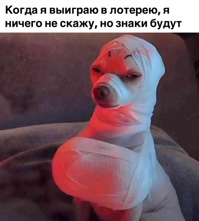 Лучшие шутки и мемы из Сети - 06.05.2025