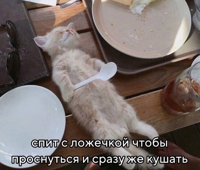 Лучшие шутки и мемы из Сети - 06.05.2025