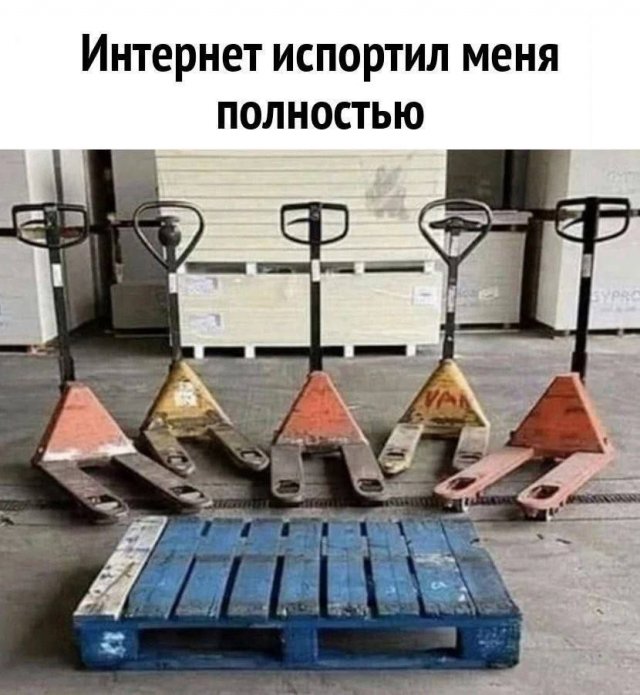 Лучшие шутки и мемы из Сети - 06.05.2025
