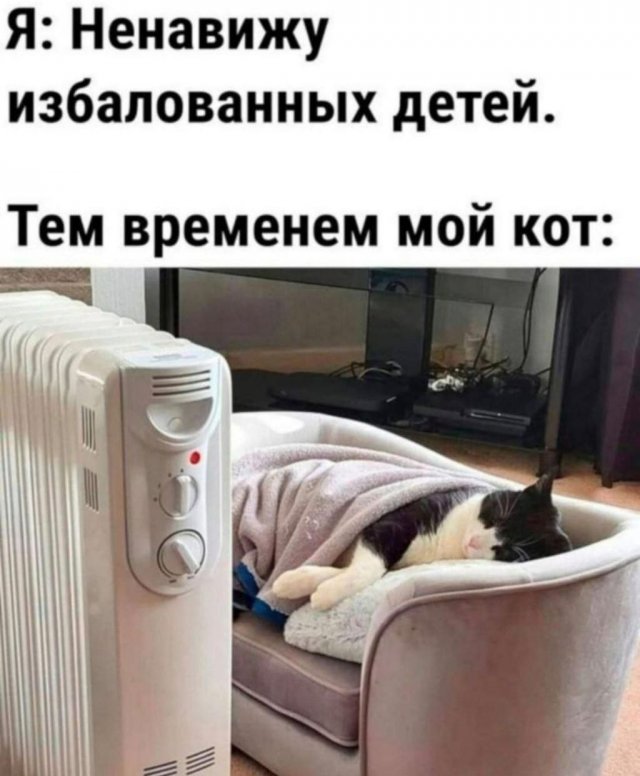 Лучшие шутки и мемы из Сети - 06.05.2025
