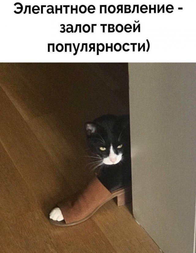 Смешные мемы - 07.05.2025