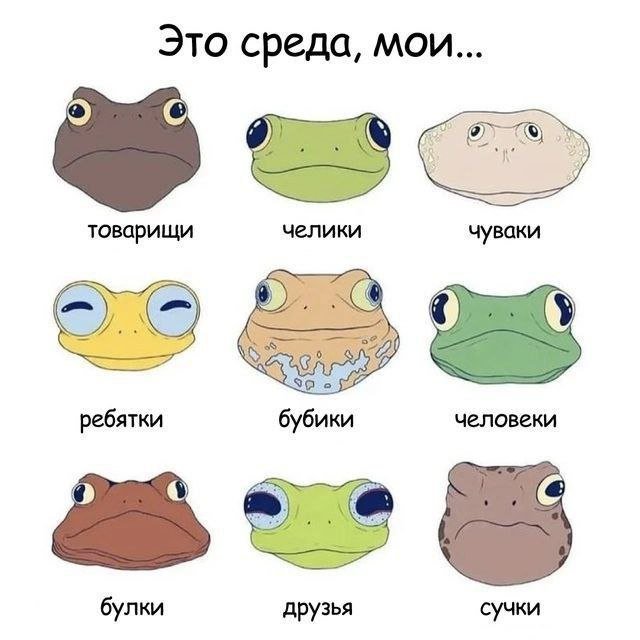Смешные мемы - 07.05.2025