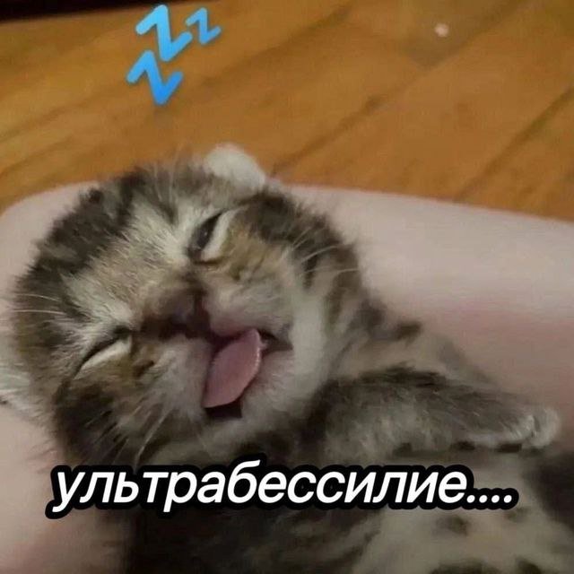 Смешные мемы - 07.05.2025