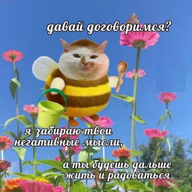 Смешные мемы - 07.05.2025