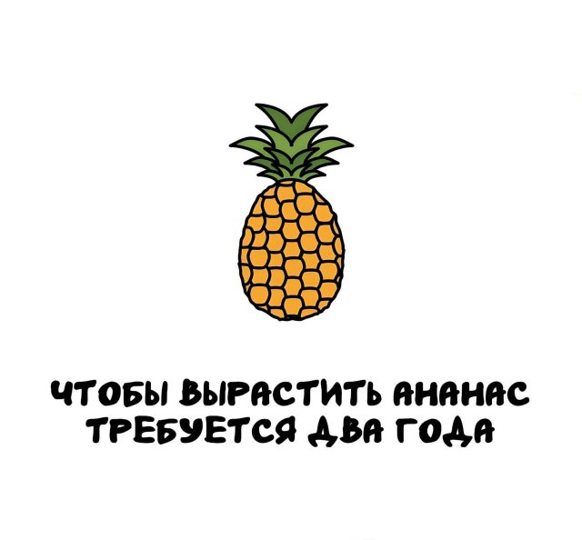 Интересные факты на все случаи жизни