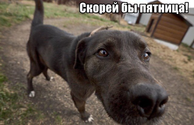 Трынделка - 07.05.2025