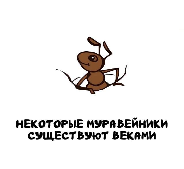 Интересные факты на все случаи жизни