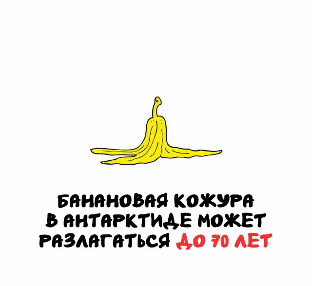 Интересные факты на все случаи жизни