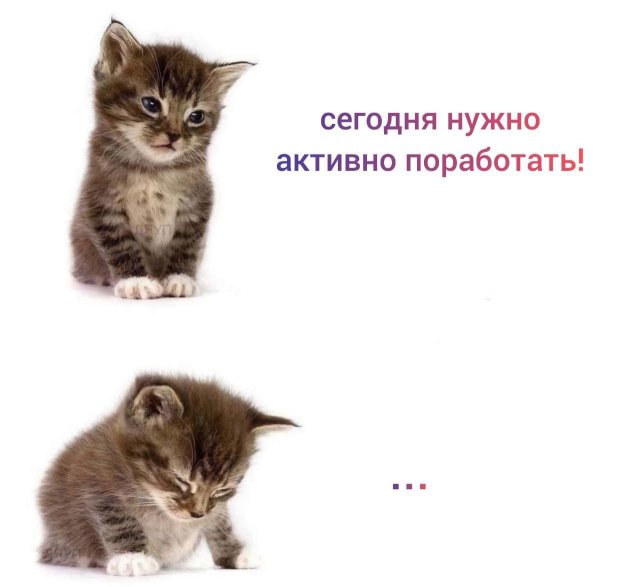 Смешные мемы - 08.05.2025