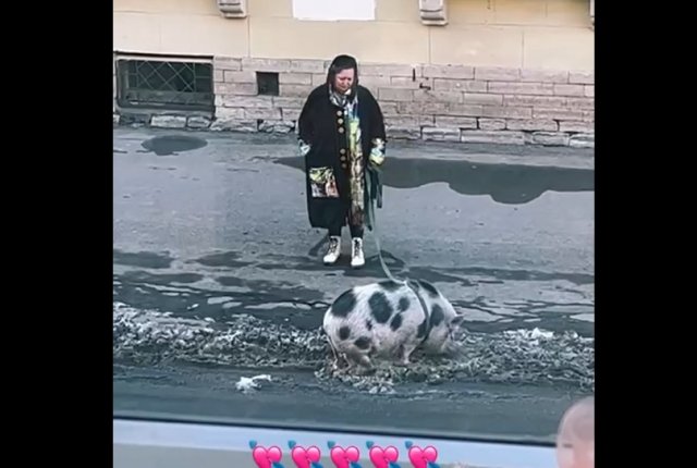 Весна пришла - все вышли на улицу