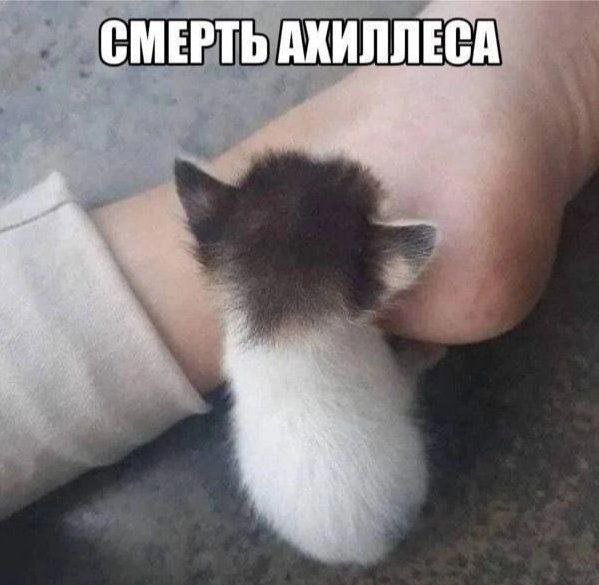 Смешные картинки - 08.05.2025
