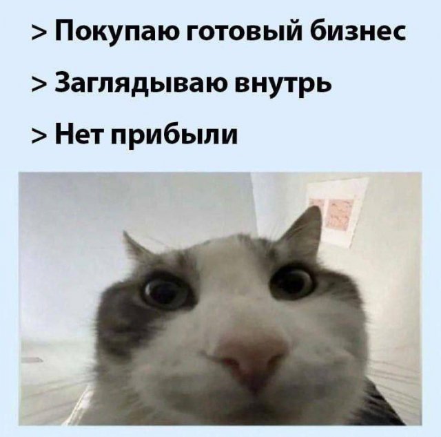 Смешные картинки - 08.05.2025
