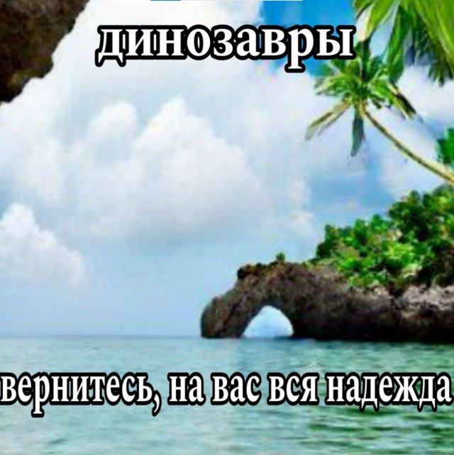 Смешные картинки - 08.05.2025