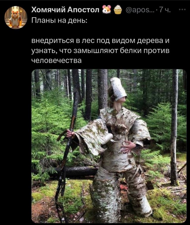 Смешные картинки - 08.05.2025