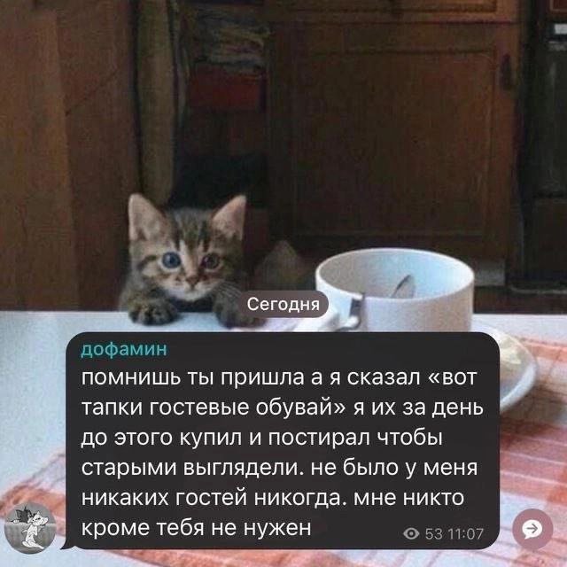 Смешные картинки - 08.05.2025