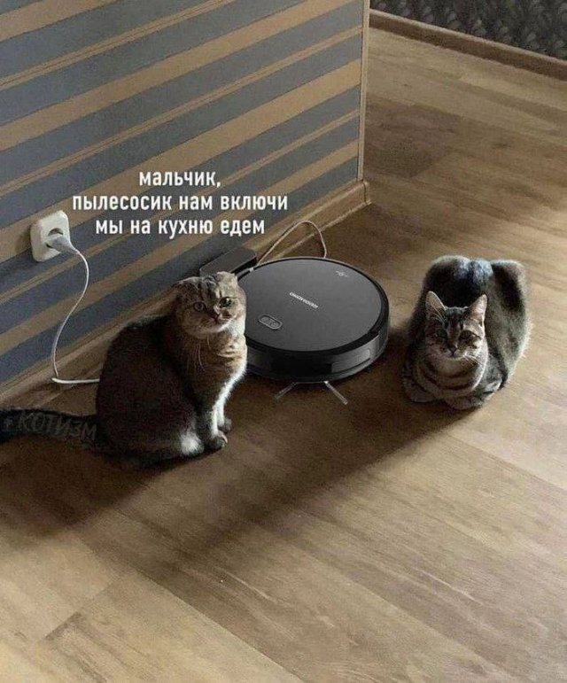 Смешные картинки - 08.05.2025