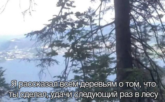 Смешные картинки - 08.05.2025