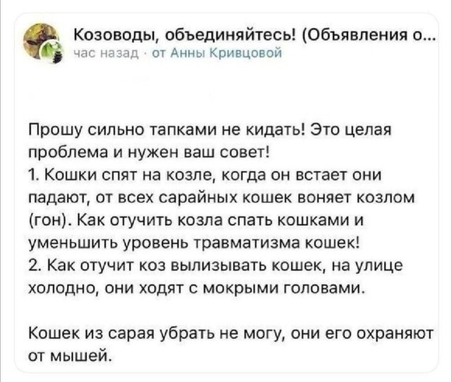 Лучшие шутки и мемы из Сети - 08.05.2025