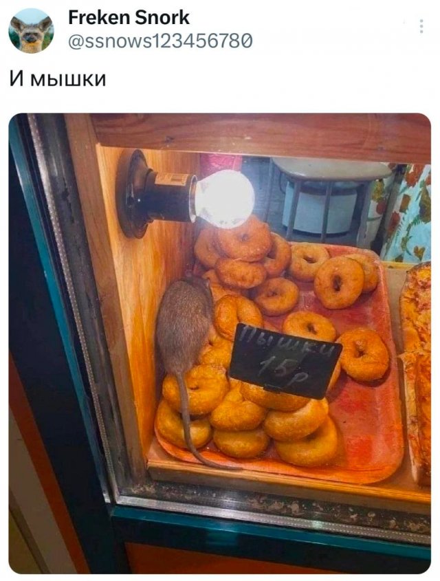 Подборка забавных твитов обо всем