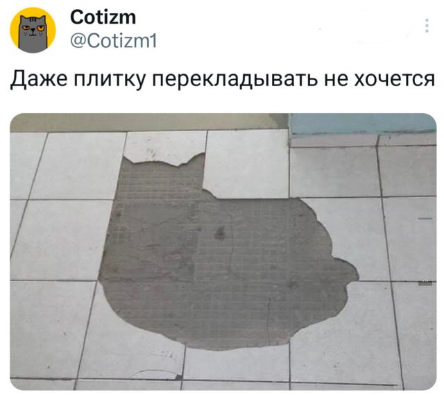 Подборка забавных твитов обо всем