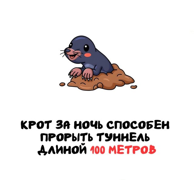 Интересные факты на все случаи жизни