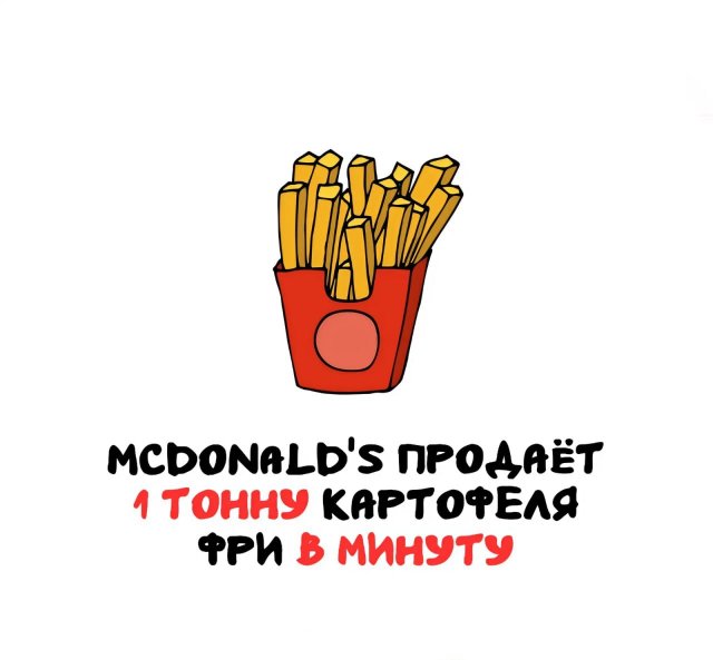 Интересные факты на все случаи жизни