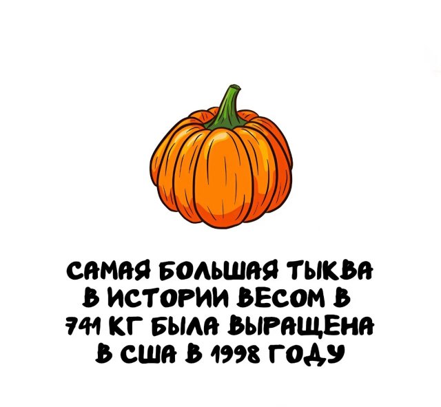 Интересные факты на все случаи жизни