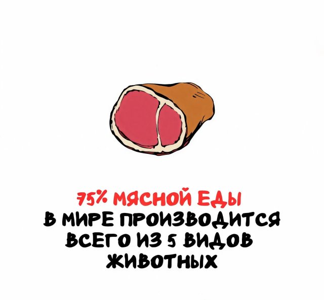 Интересные факты на все случаи жизни