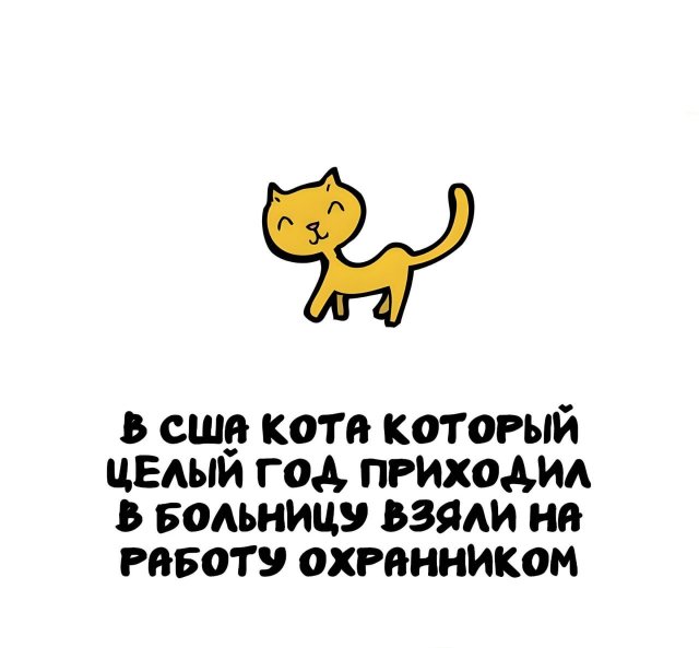 Интересные факты на все случаи жизни