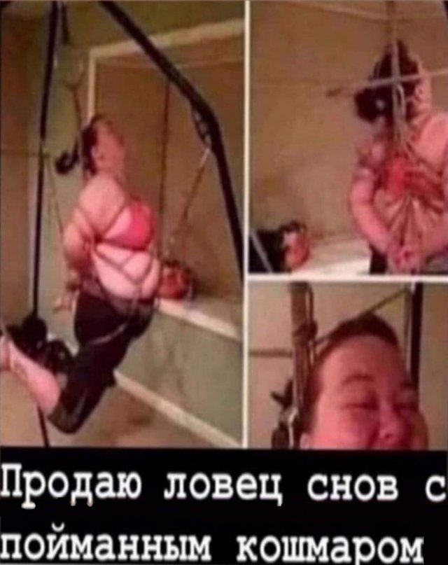 Демотиваторы - 09.05.2025