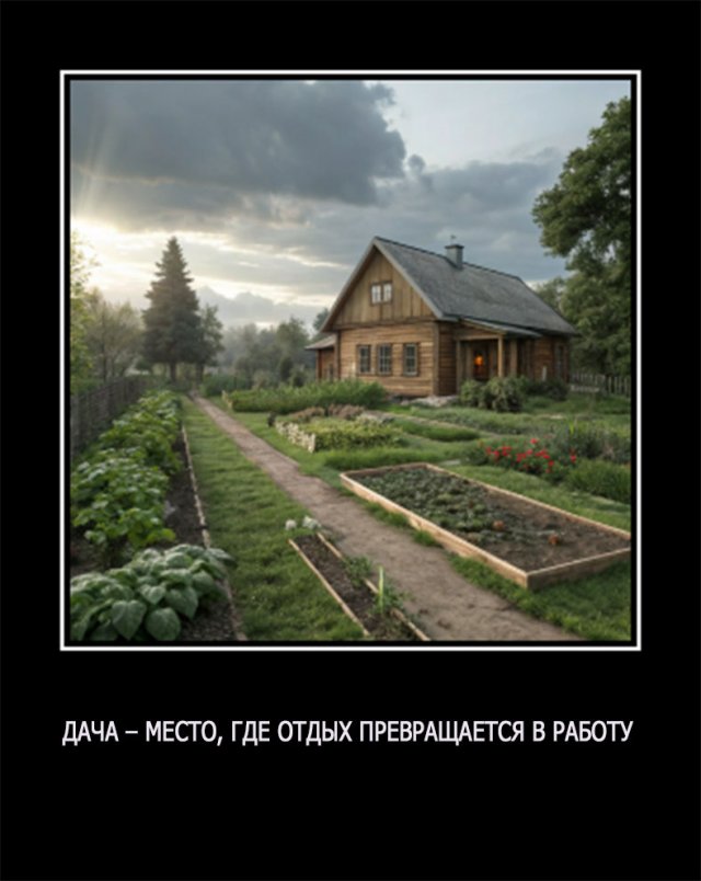 Демотиваторы - 09.05.2025