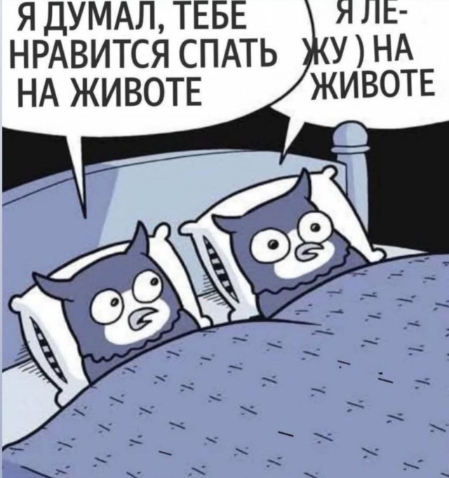 Смешные картинки - 09.05.2025