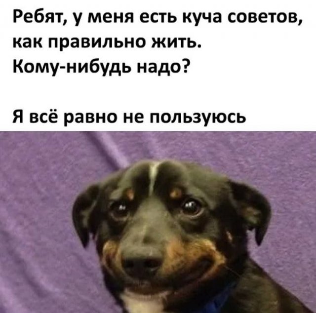 Смешные картинки - 09.05.2025