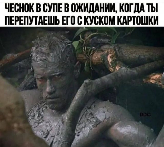 Смешные картинки - 09.05.2025