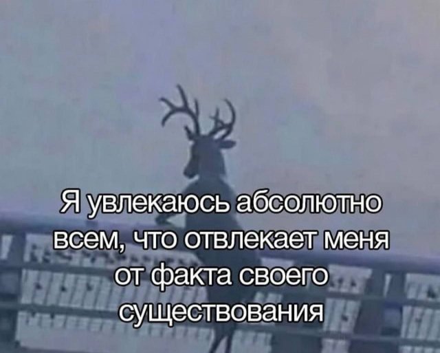 Смешные картинки - 09.05.2025